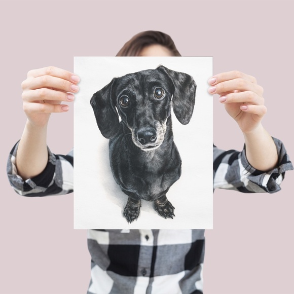 Watercolor Black Dachshund Dog Portrait Art Print – Unframed Fine Art Poster - Picture 4 of 5